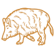 wild boar