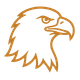 crested serpent eagle