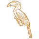 great hornbill