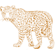 leopard