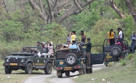 Open jeep safari on the ridge road in Ranipur Zone